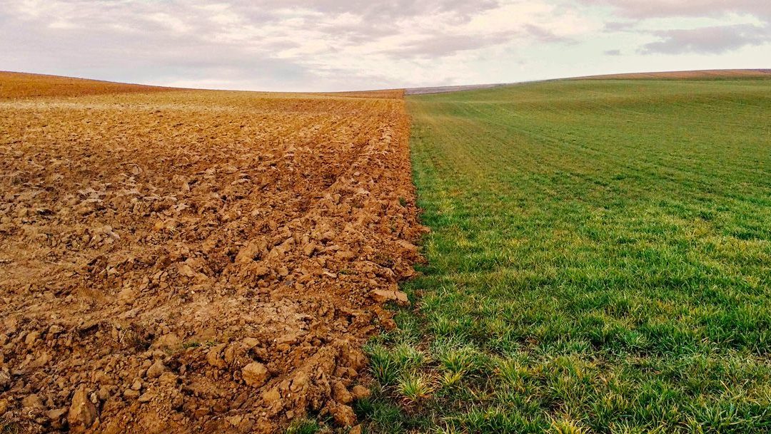 Latitude says great news for land developers